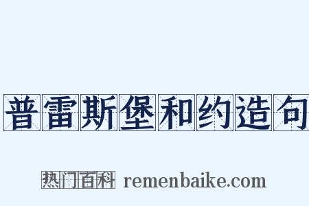 普雷斯堡和约造句是什么意思的图片